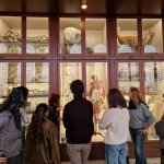 Visite guidate nella grande sala dedicata alle collezioni storiche del Museo 